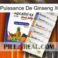 Ginseng Power X 11